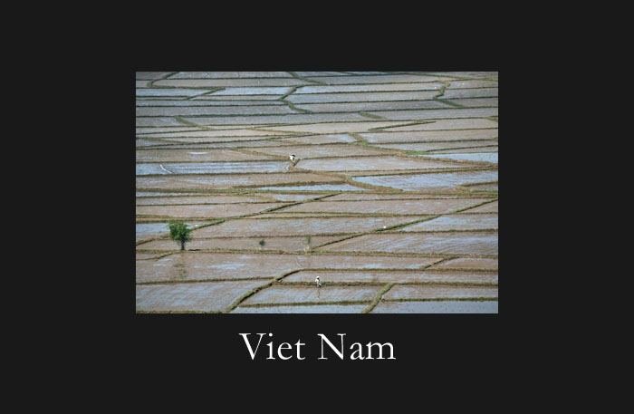 Logos/VietnamIntro.jpg